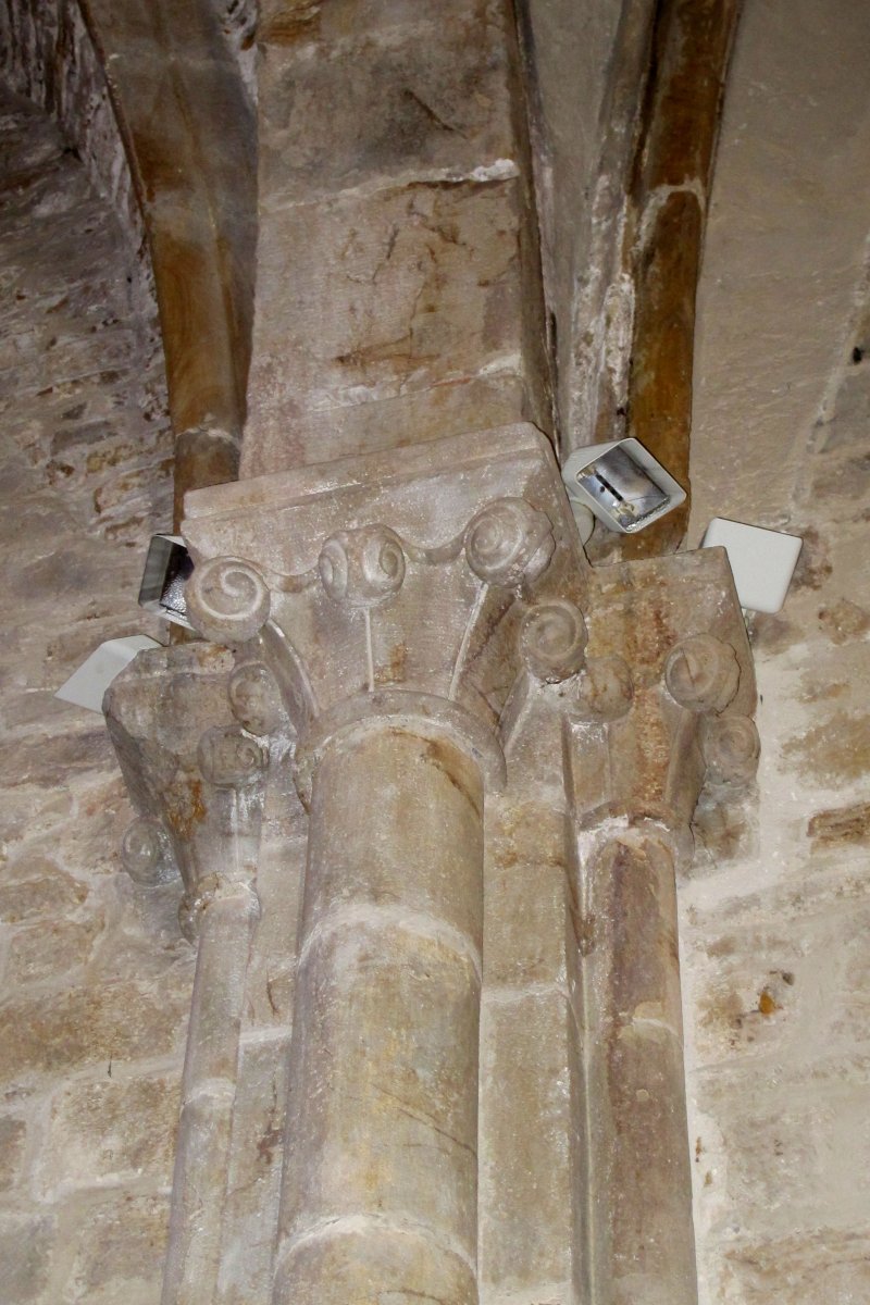 Asuncion eliza, Erango