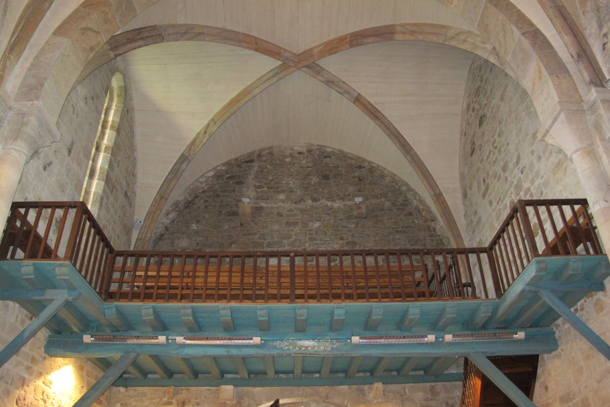 Asuncion eliza, Erango