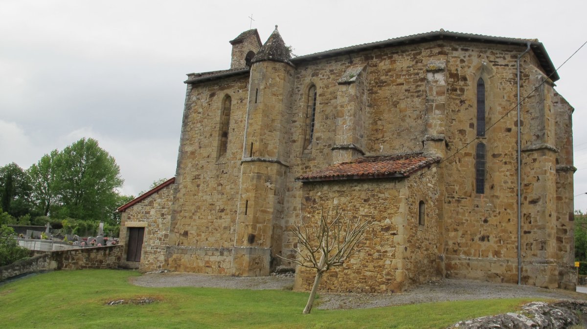 Asuncion eliza, Erango