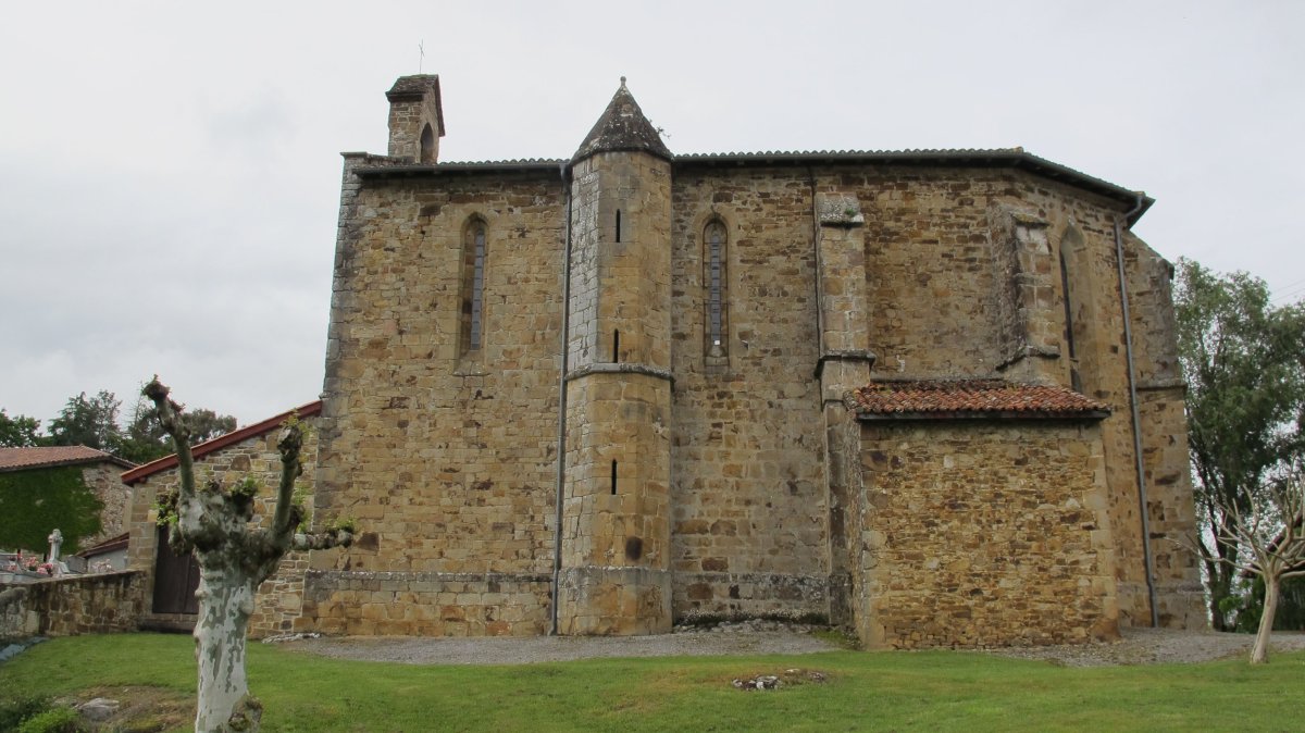 Asuncion eliza, Erango