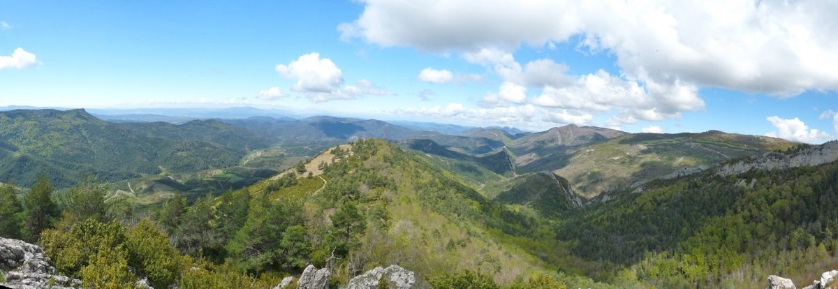 Panorama Aritzgañako gailurretik