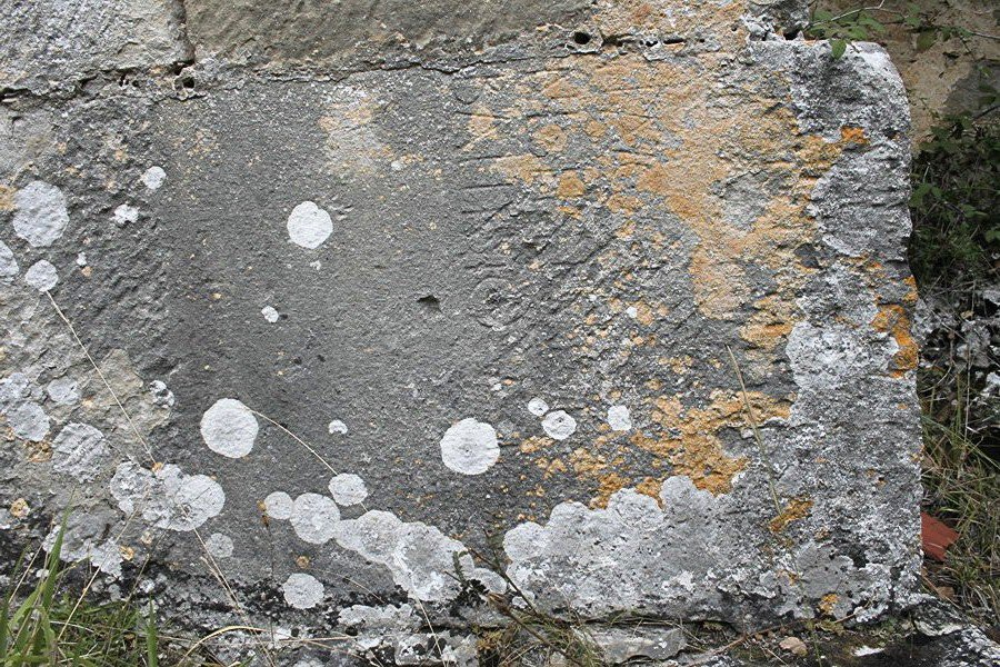 Ermita S.Bartolomé - Angostina