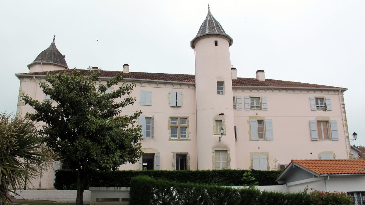 Salha jauregia, Bardoze