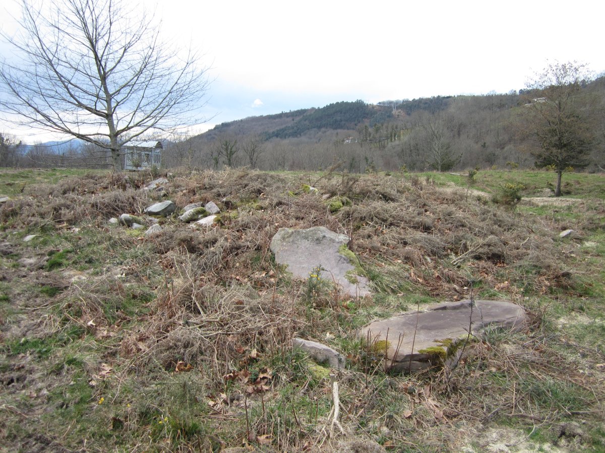 Dólmen Landarbaso VI    03 -2013
