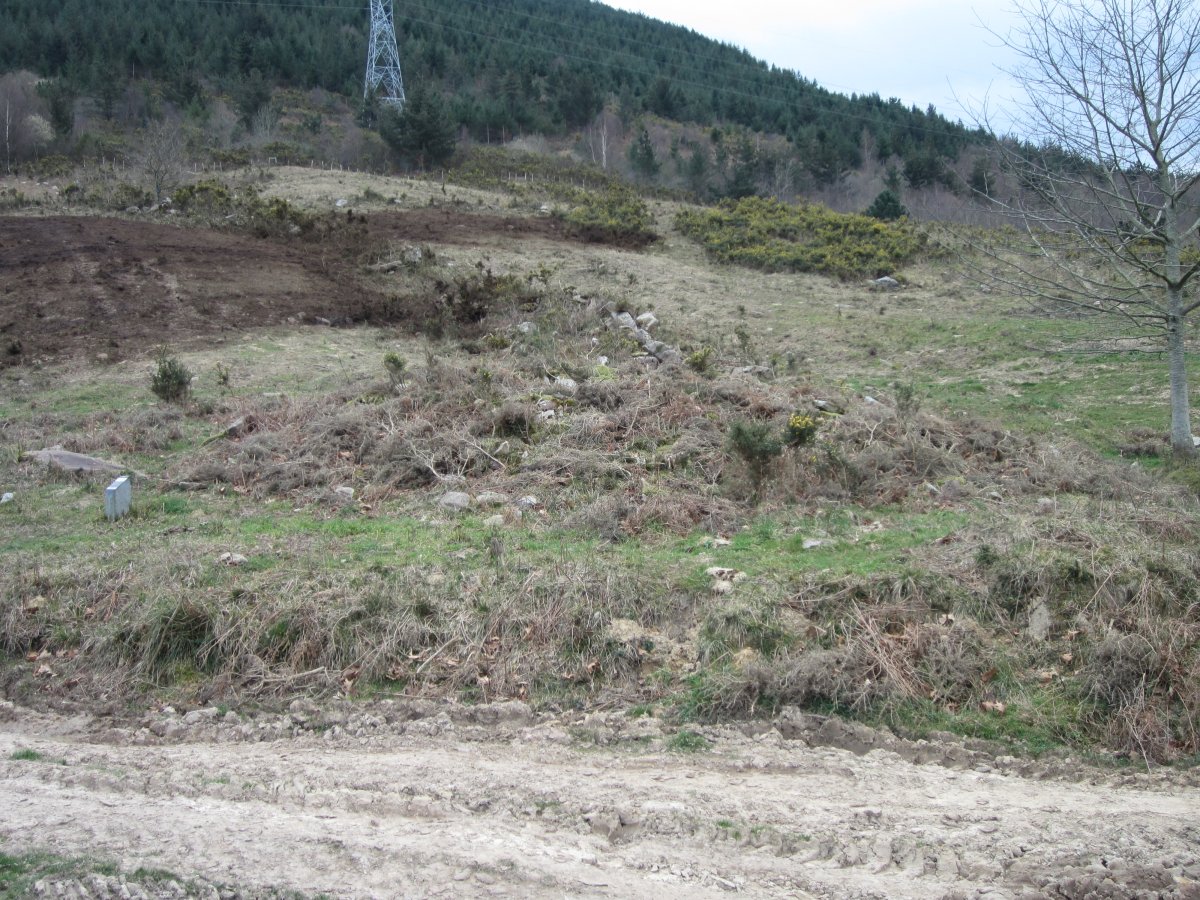 Dólmen Landarbaso VI 03 -2013