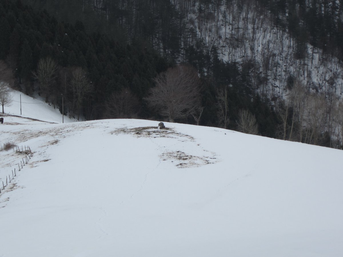 Dólmen Larrarte    03-2013