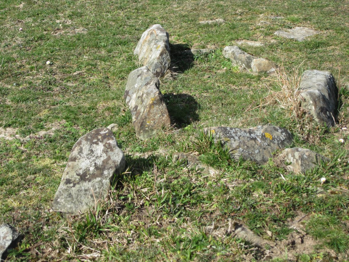 Cista Atxurbi   03-2013