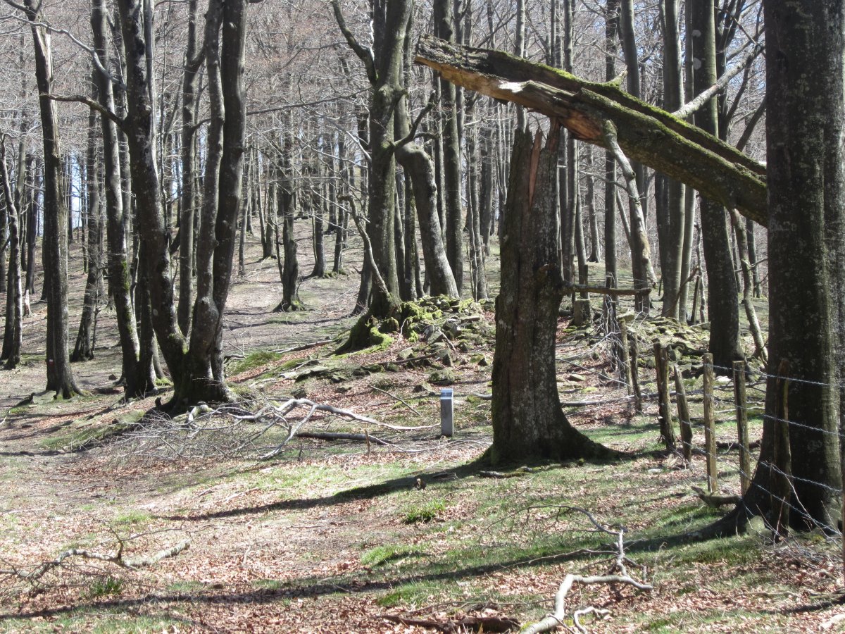 Dólmen Argoniz   Abril 2013