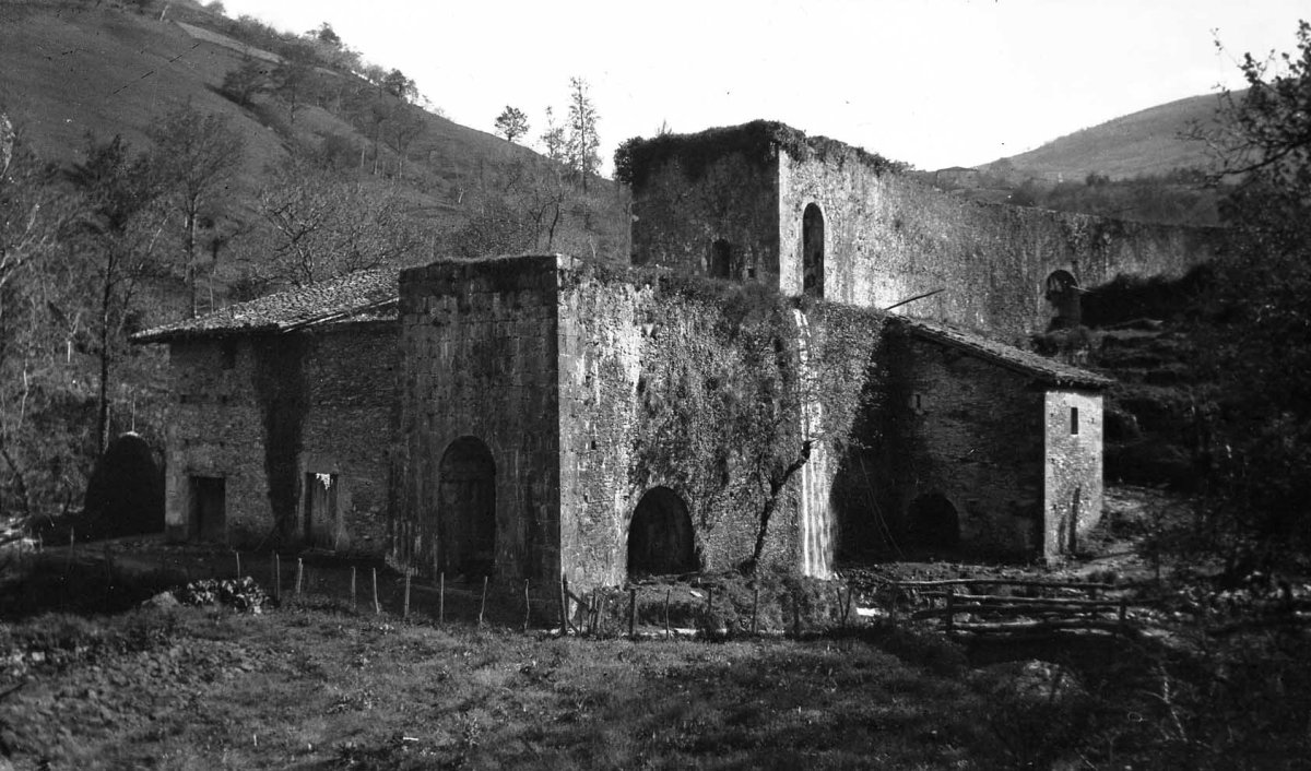 Agorregiko burdinola, Aia