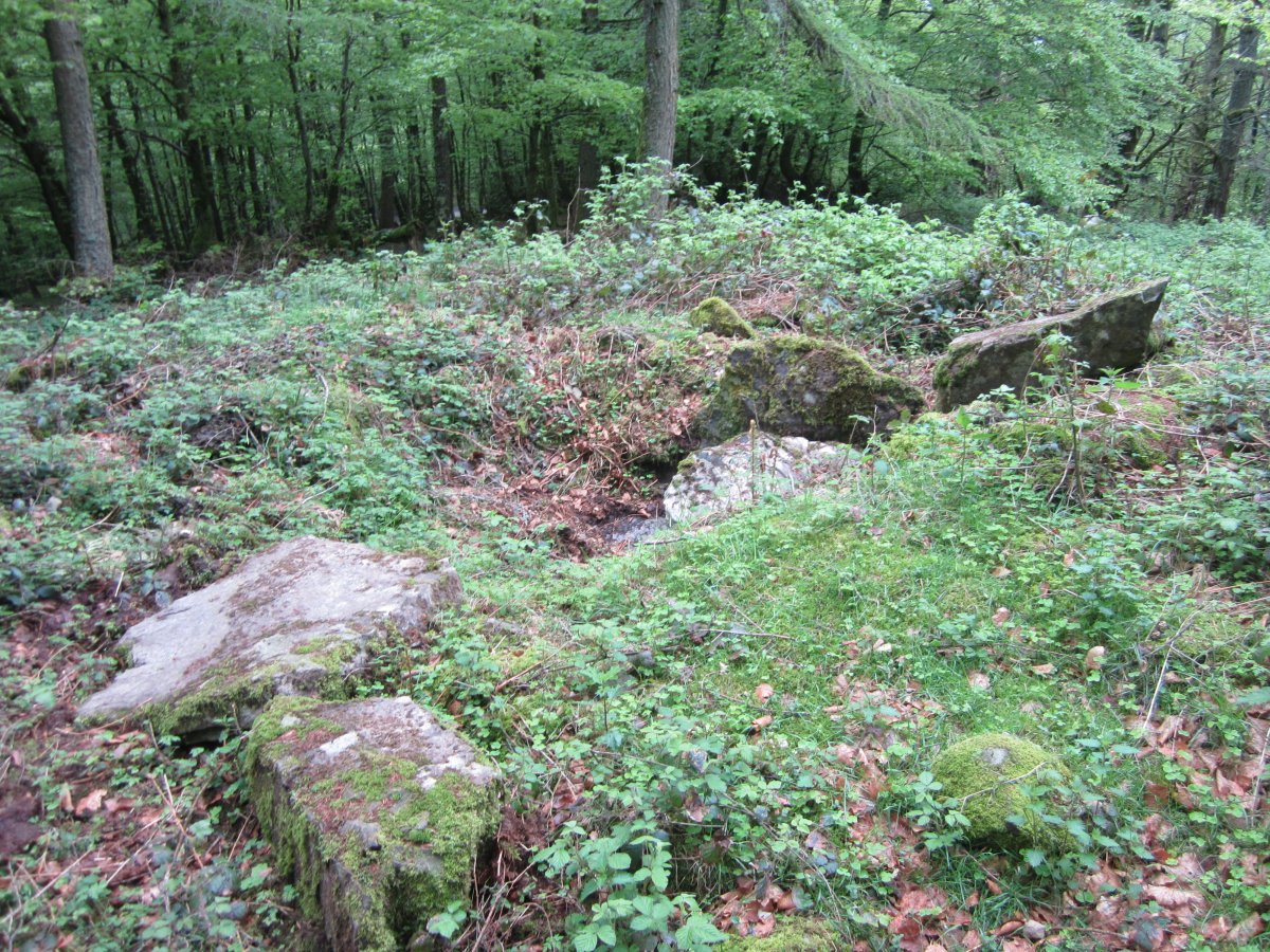 Dólmen Agerreburu    Mayo 2013