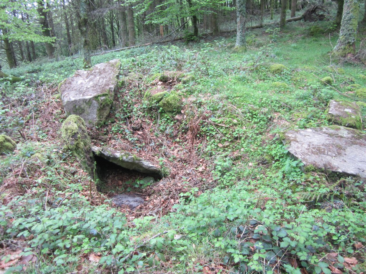 Dólmen Agerreburu Mayo 2013