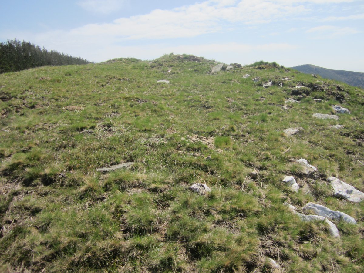 Cromlechs Abade Kurutz   (Abril 2013)