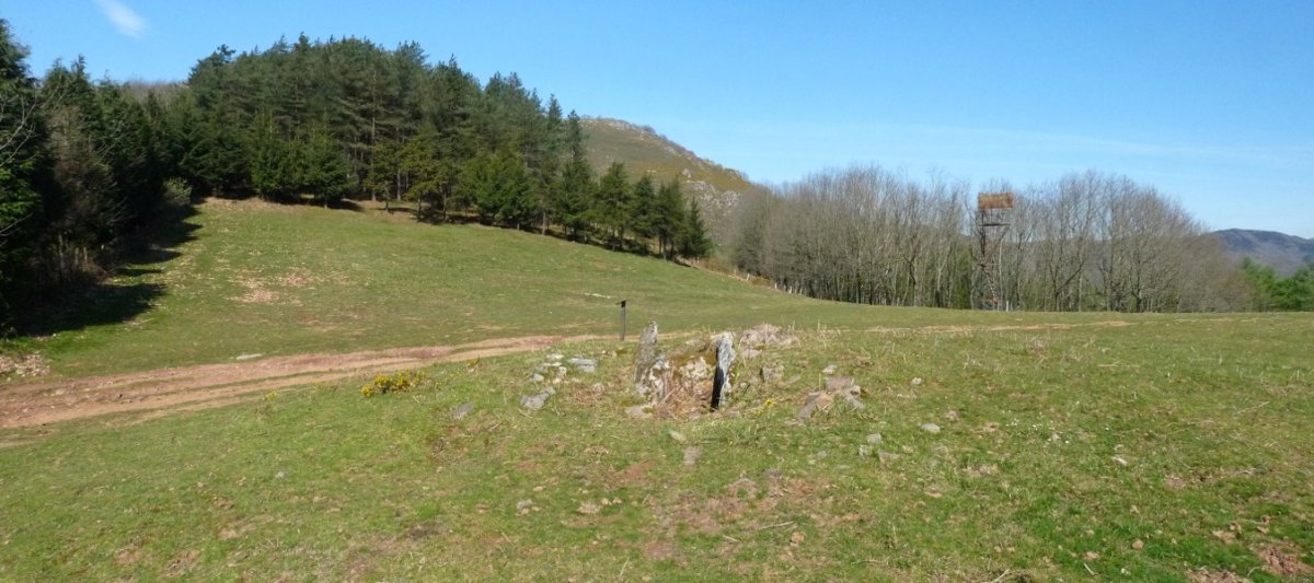 Zumaleku trikuharria