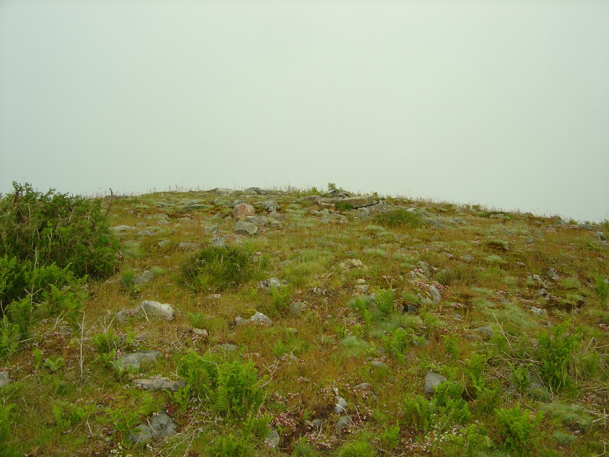 Dólmen Saiputzueta  (06-2009)