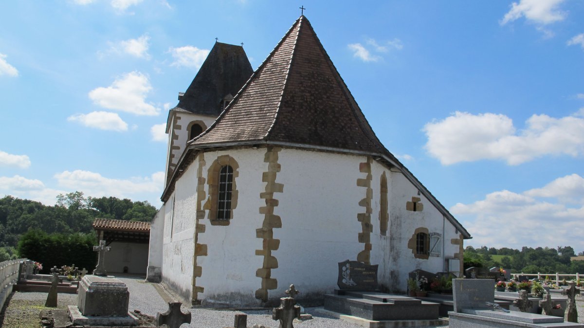 Ascension eliza, Gamue