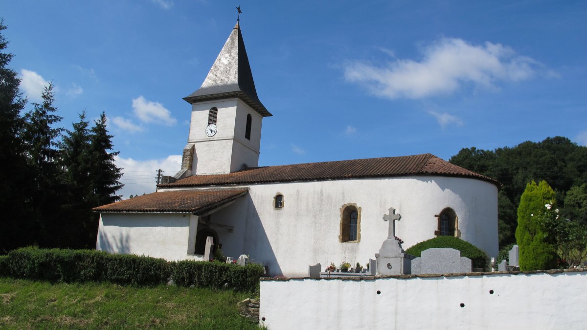 Santiago eliza, Zohota