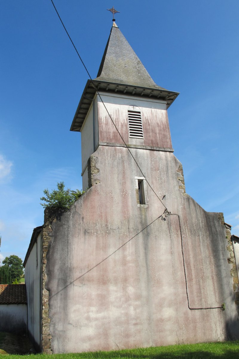 Santiago eliza, Zohota