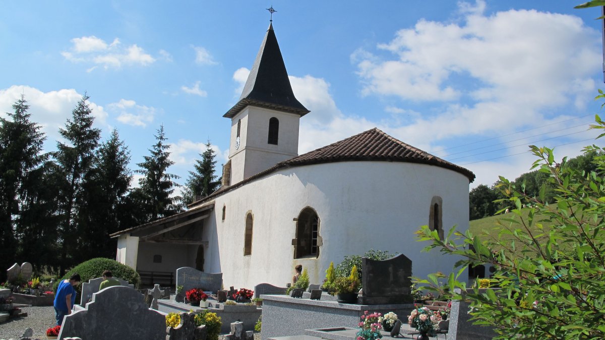 Santiago eliza, Zohota