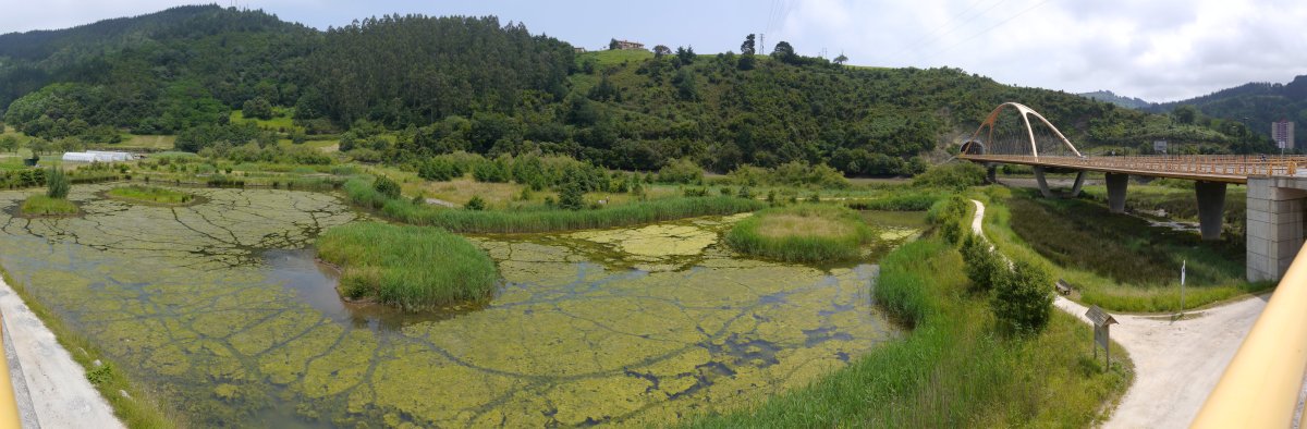 Hezegune bat berreskuratzeko saiakeraren emaitza, Deba