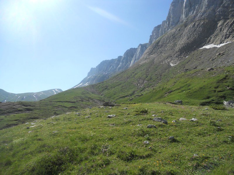 Barranco de Tacheras trikuharria