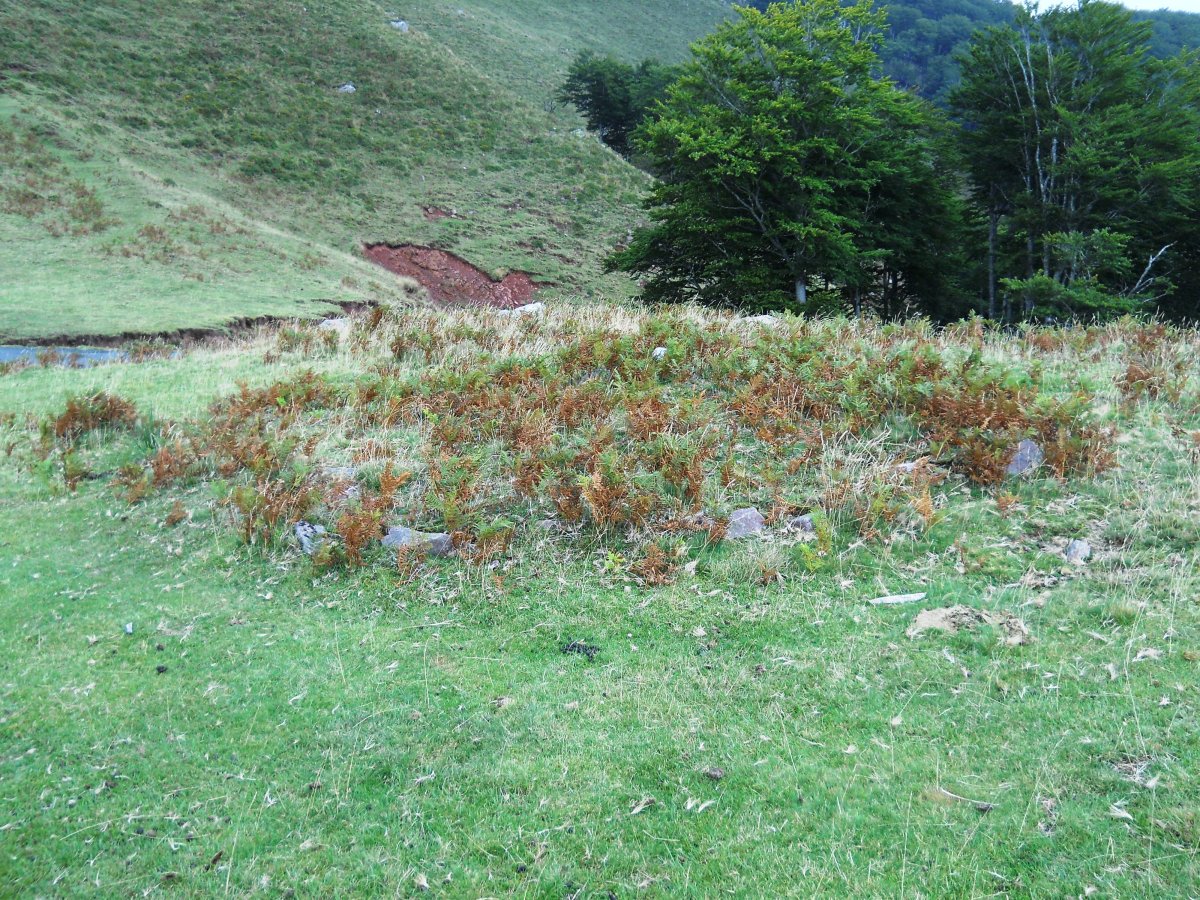 Ixtauzeko lepoko harrespila 1