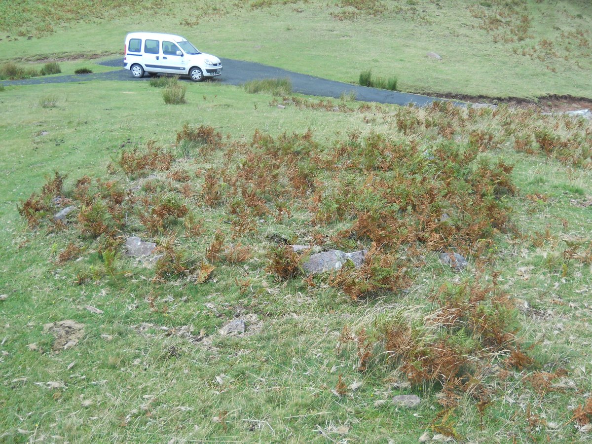 Ixtauzeko lepoko harrespila 1