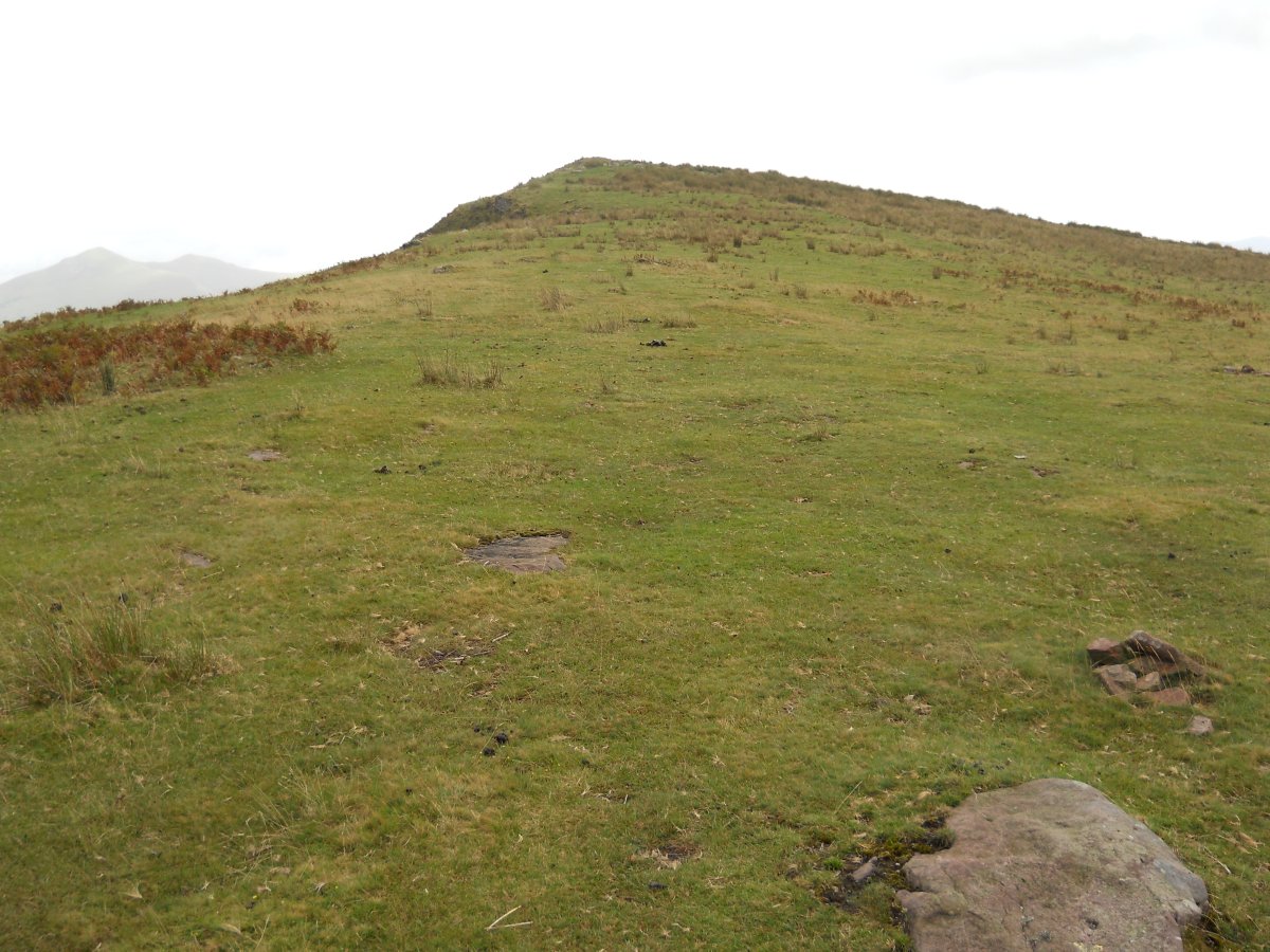 Ixtauzeko lepoko harrespila 2