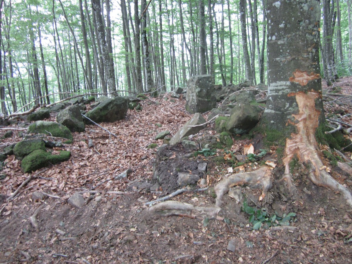 Dólmen Jentilzulo  (Julio  2013)