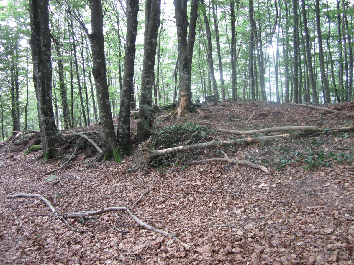 Dólmen Jentilzulo  (Julio  2013)