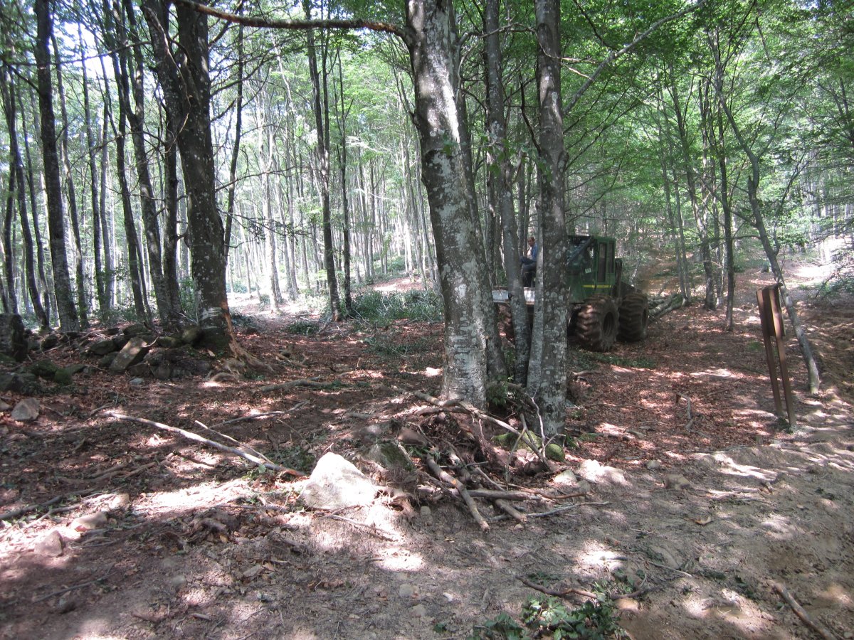 Dólmen Jentilzulo  (Julio  2013)