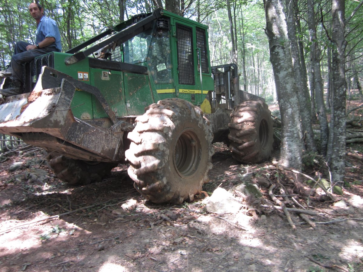 Dólmen Jentilzulo  (Julio  2013)