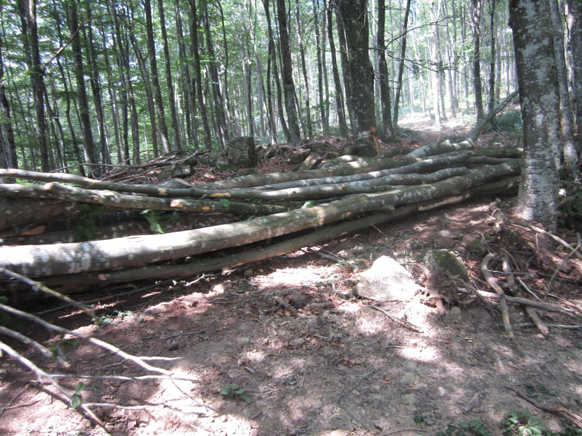 Dólmen Jentilzulo  (Julio  2013)