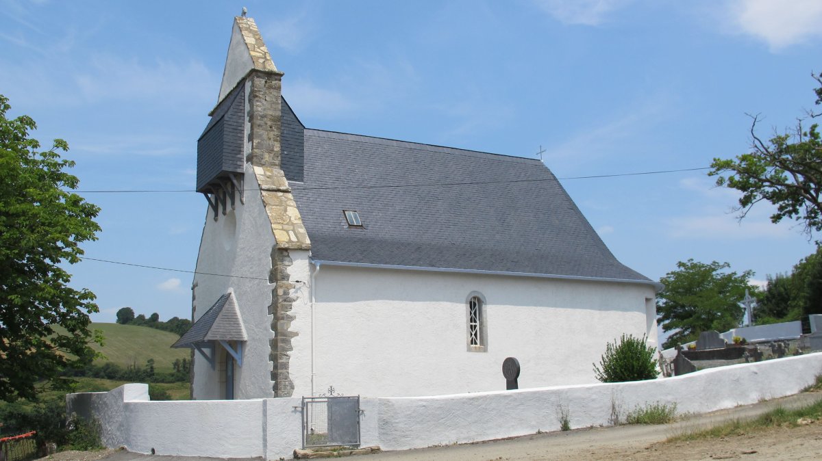 Ascension eliza, Larrabile