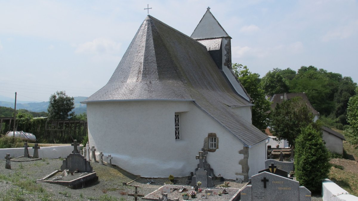 Ascension eliza, Larrabile