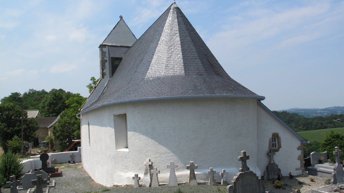 Ascension eliza, Larrabile