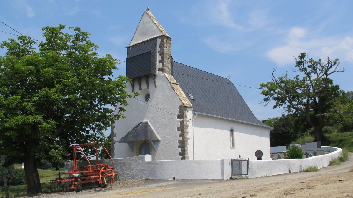 Ascension eliza, Larrabile