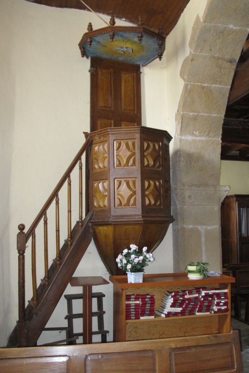 Asuncion eliza, Onizepea