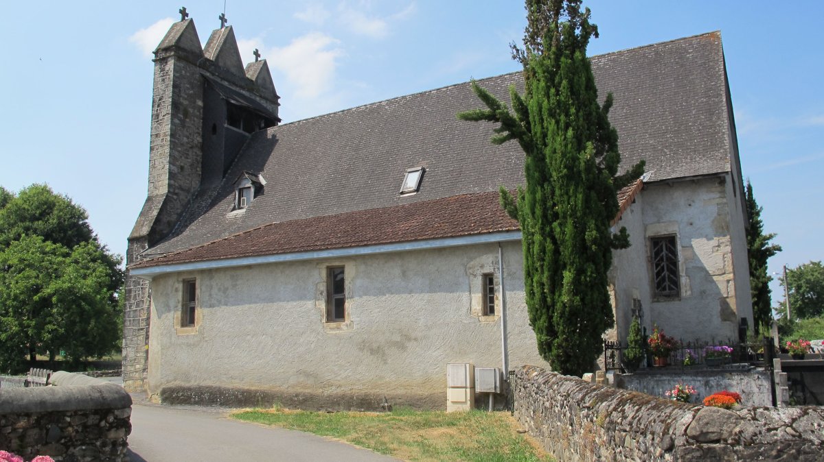 Asuncion eliza, Onizepea