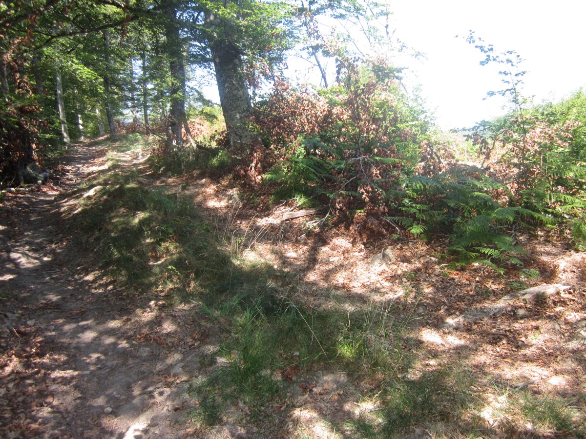 Túmulo Maizegur  (Julio  2013)