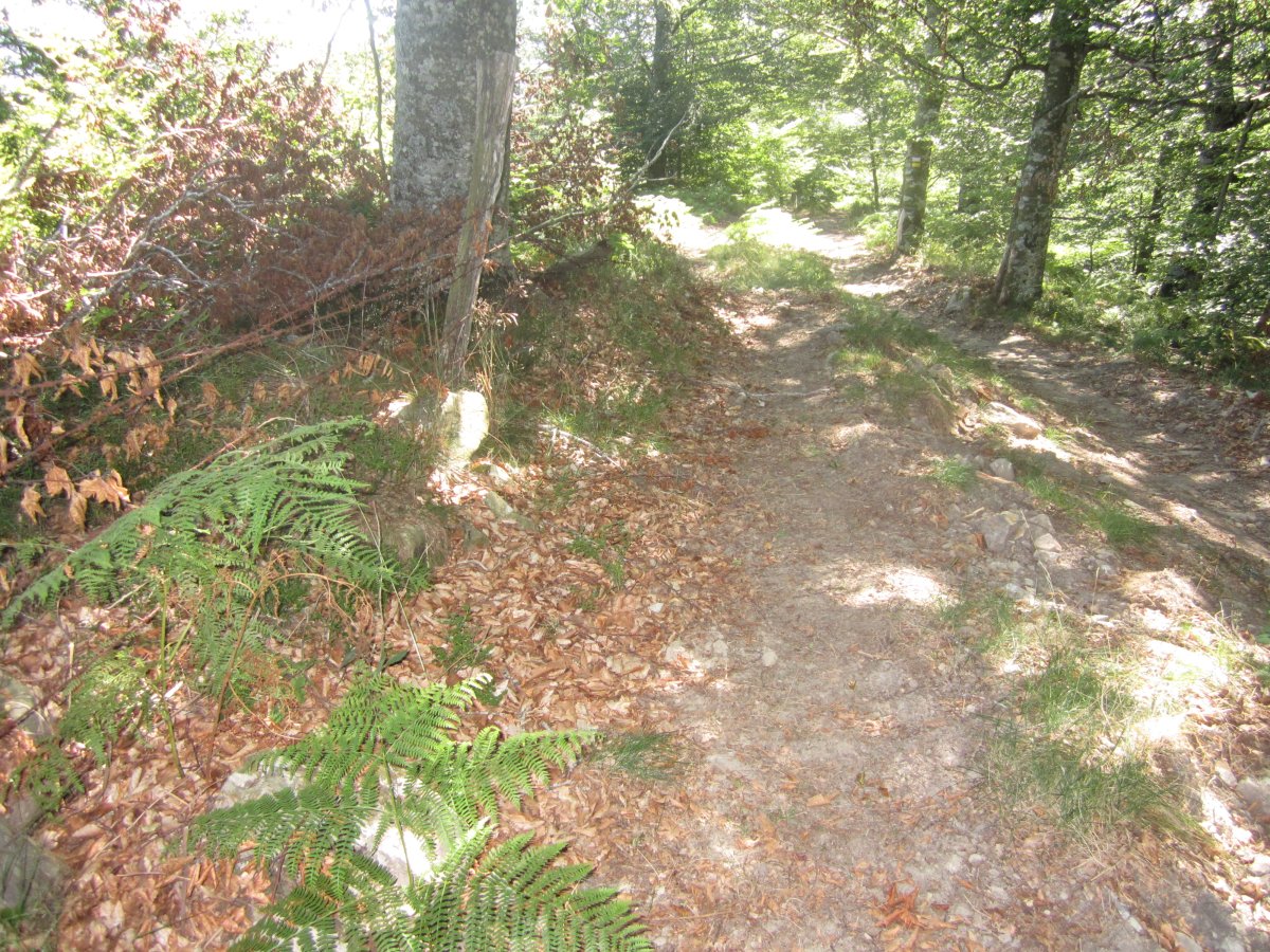 Túmulo Maizegur  (Julio  2013)