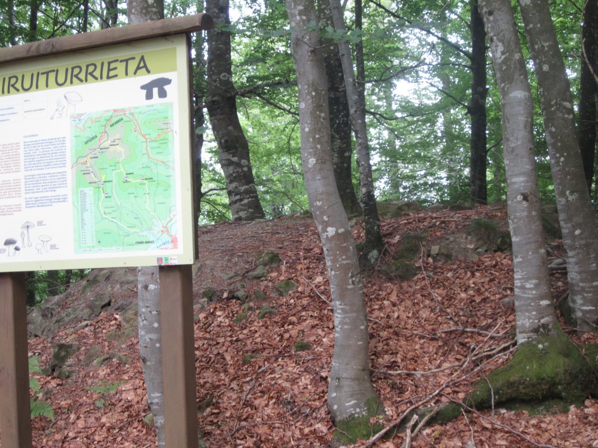 Dólmen Iruiturrieta  (Julio 2013)