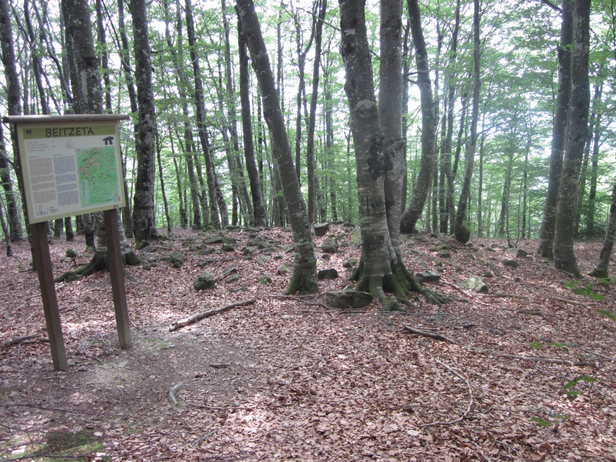 Dólmen Beitzeta  (Julio 2013) Sin Vallas