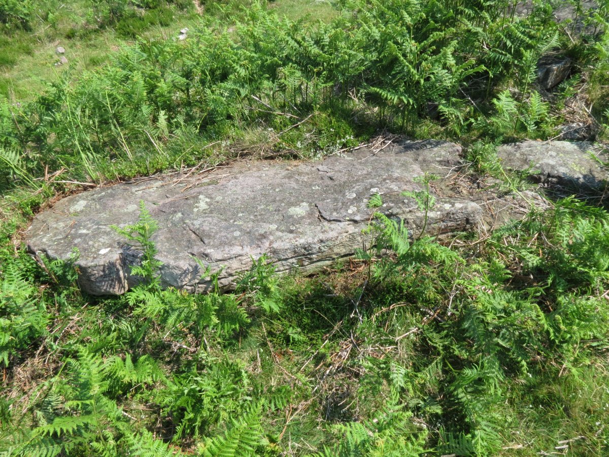 Mazako Zutarria