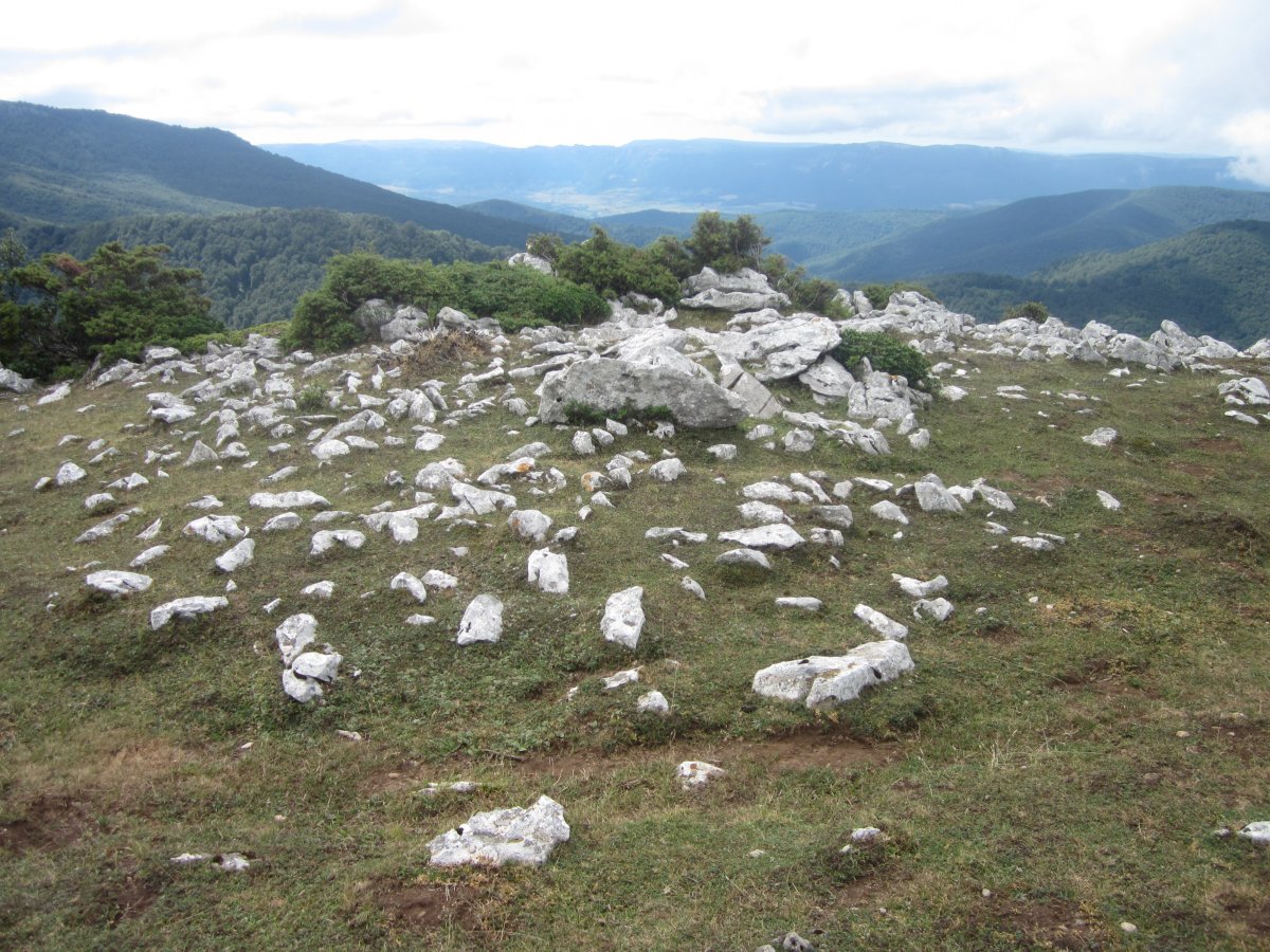 Dólmen Olasoro (Agosto 2013)