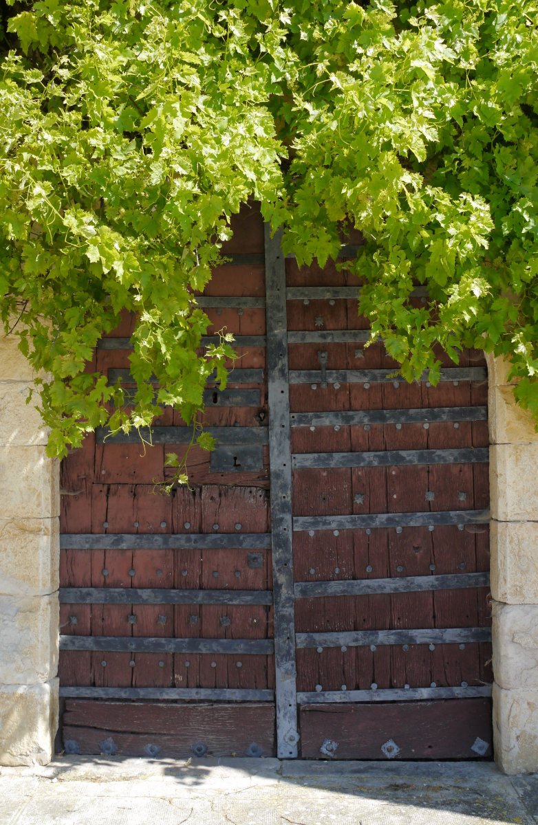 San Juan Bataiatzailea, Otxobi