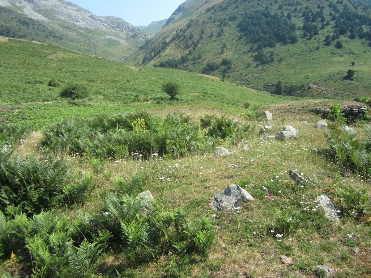 Cromlechs Bunker  (Agosto 2013, al lado el Bunker)