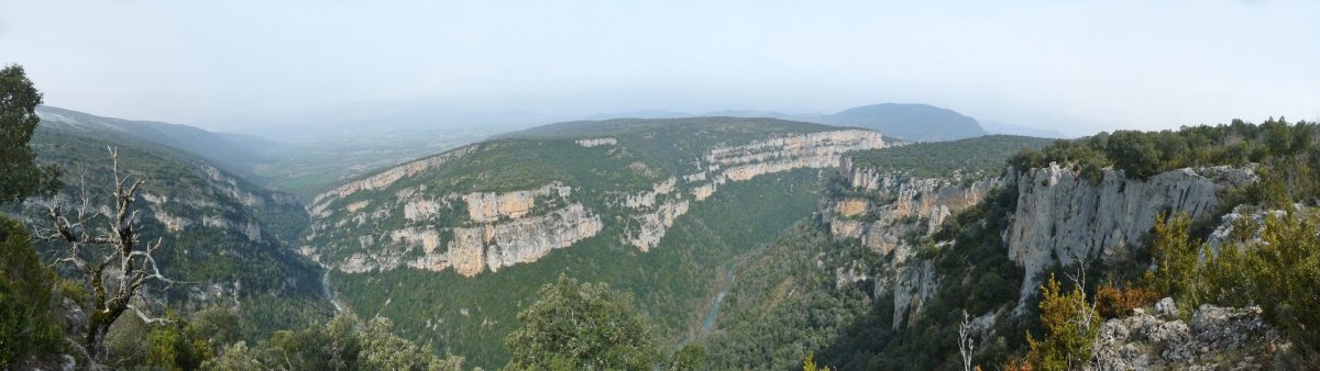 Arbaingo arroila Burgitik