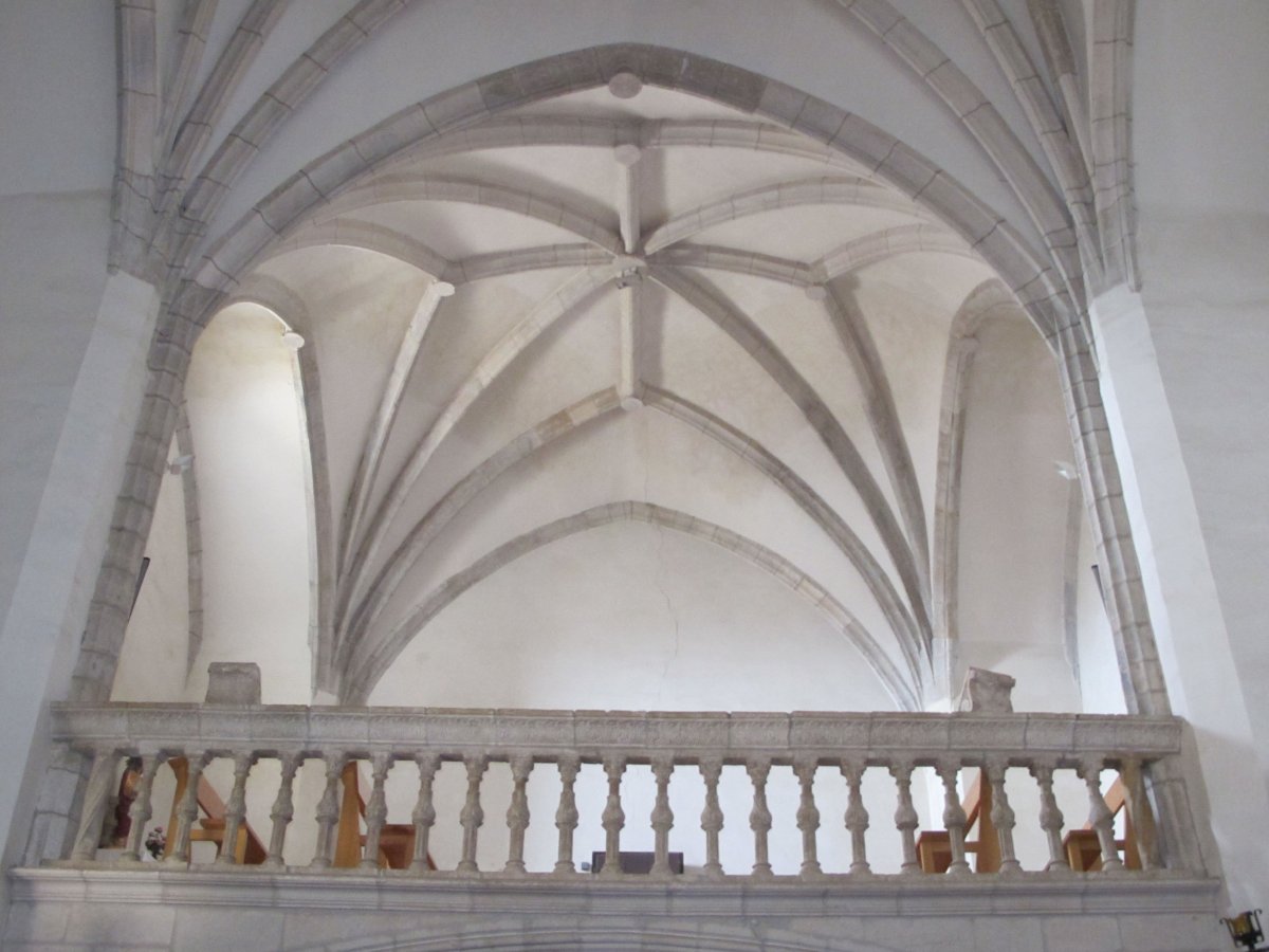 Santa María eliza, Abartzuza