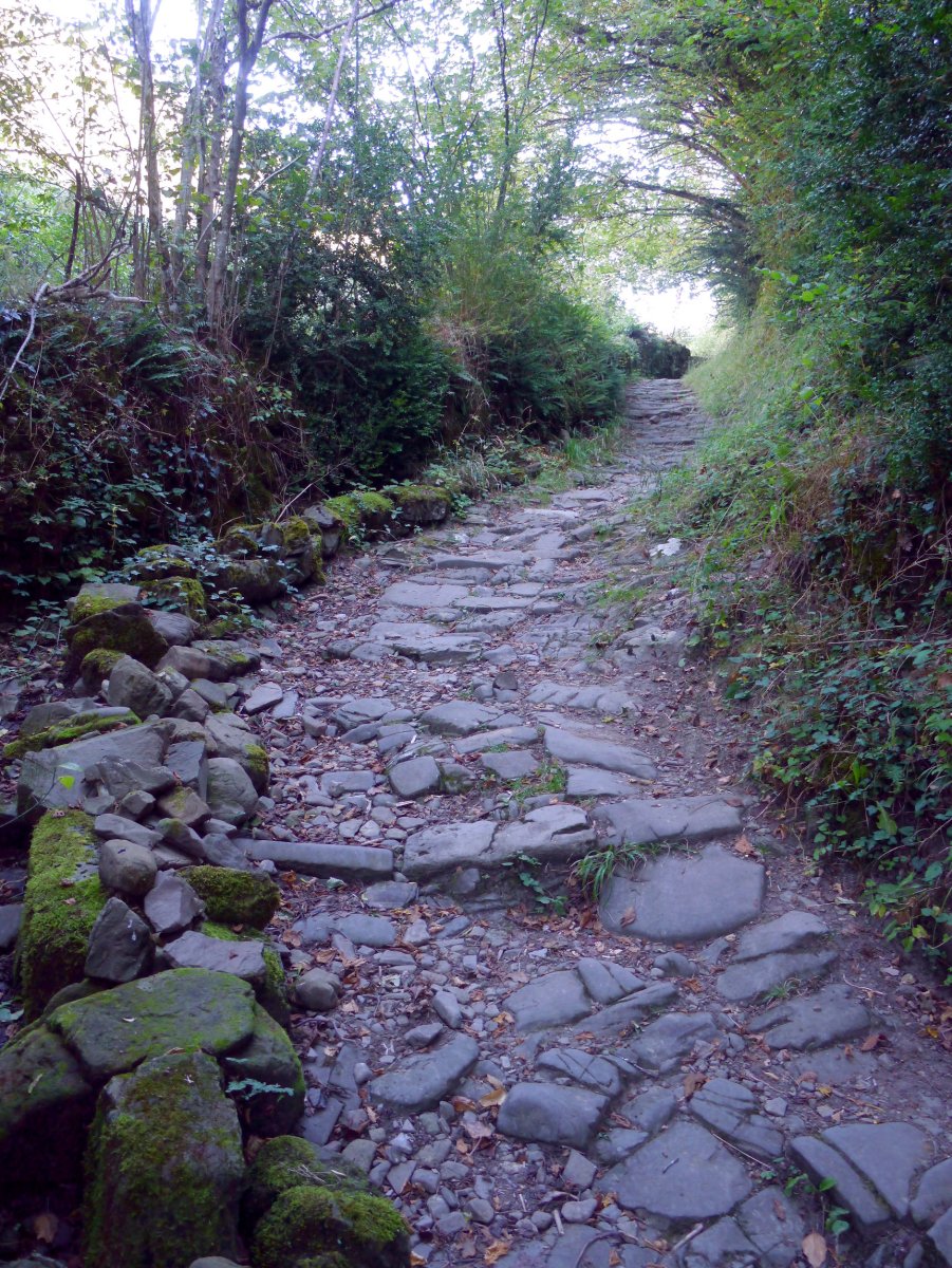 Idoiako Andra Mari ermitarako bidea, Izaba