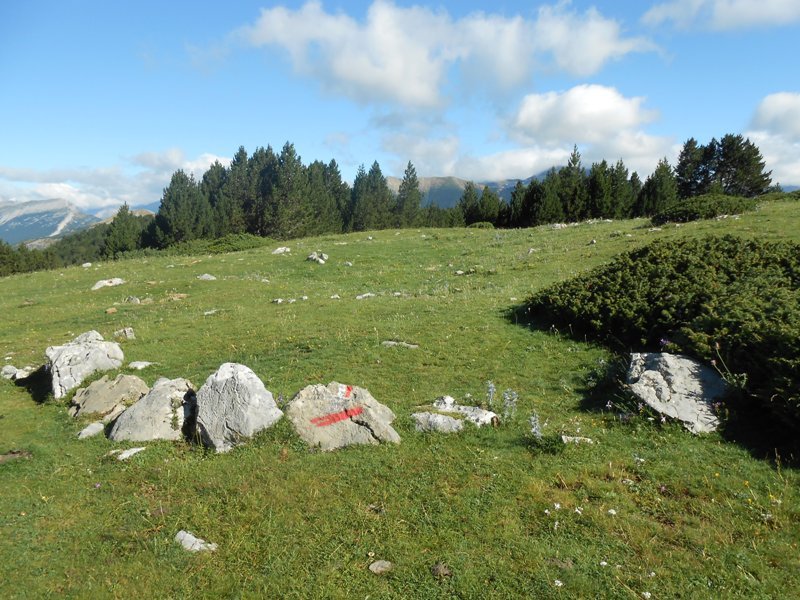 collata de labasar 2